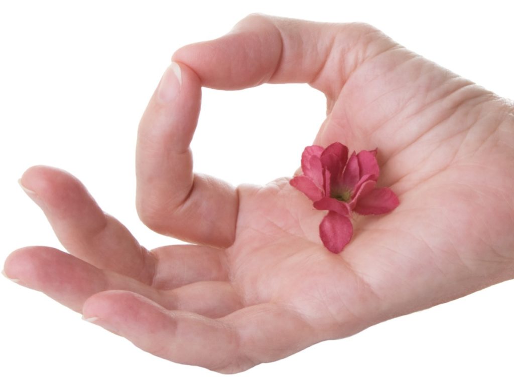 una mano con un fiore rosso sul palmo, il dito pollice e indice sono uniti